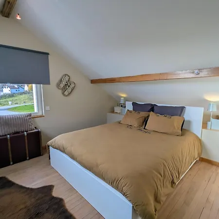 Chaleureux A Gerardmer, 5 Pers. - Fr-1-589-845 Prázdninový dům *