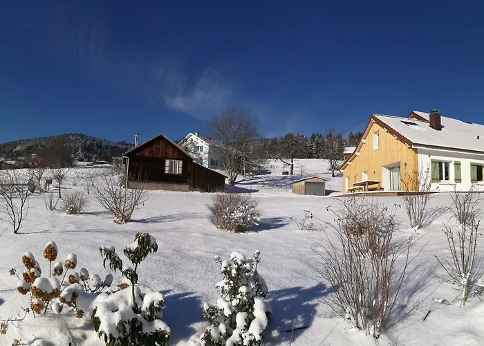 Chaleureux A Gerardmer, 5 Pers. - Fr-1-589-845